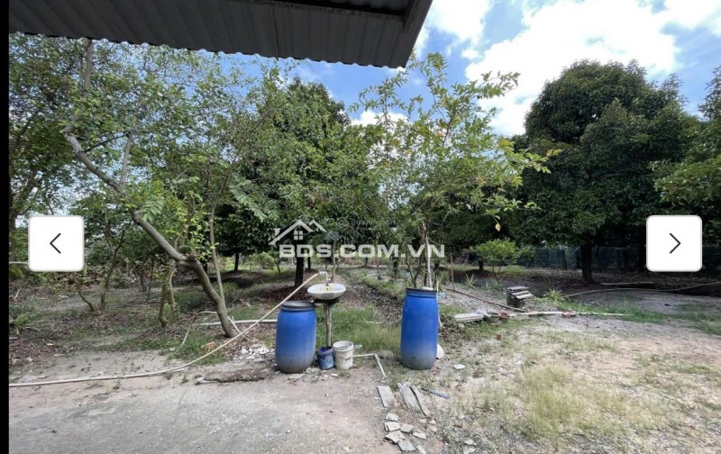 Cho thuê đất MT đường 7m rộng 1 mẫu tại ĐS 812, Xã Phú Mỹ Hưng, Củ Chi