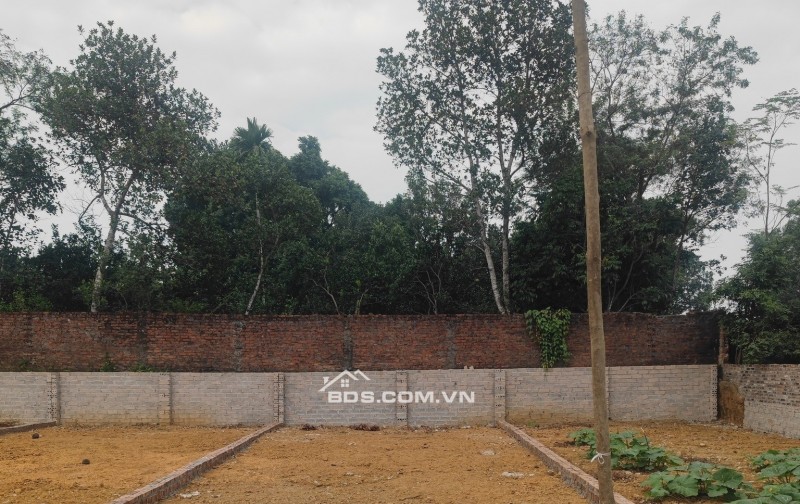 Bán gấp lô đất 100m2 gần Metro số 5, khu vực trung tâm Hòa Lạc. Phù hợp xây trọ, đầu tư sinh lời, kết nối Metro 5 – Quốc Lộ 21. Liên hệ xem đất ngay.