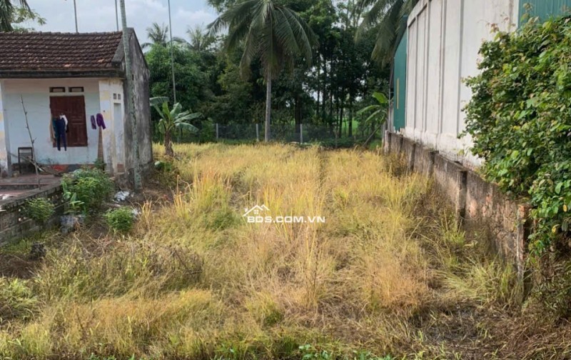 Bán đất nền mặt tiền đường NC - QX giá 1.690 tỷ TL xã Tế Nông huyện Nông Cống cũ