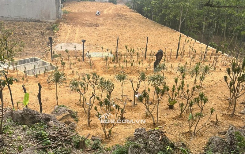 Chính chủ bán mảnh đất 1950m2 trung tâm phố huyện bậc nhất TT Cao Phong - đối diện chợ Cp