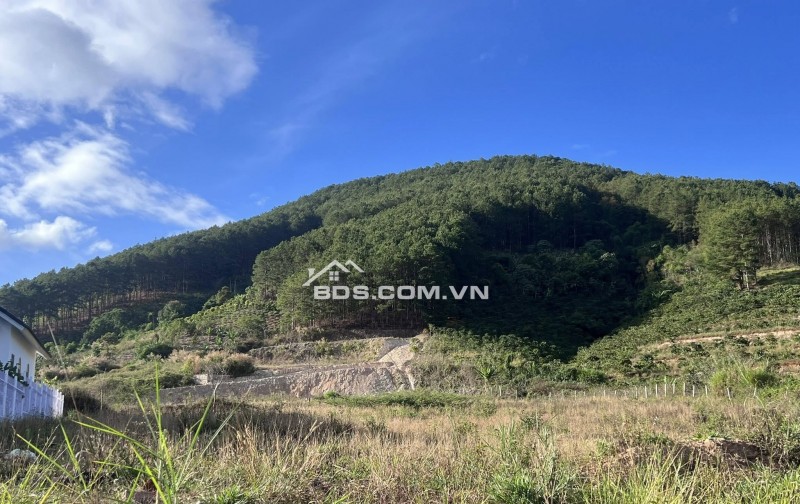 ĐẤT 2 MẶT TIỀN – THUNG LŨNG THÔNG XANH, KHÔNG GIAN SỐNG CHẠM CẢM XÚC