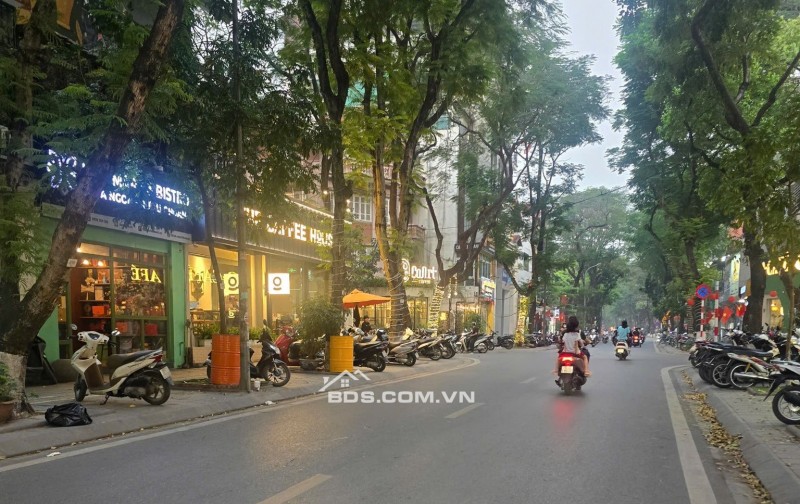 CẦN BÁN NHÀ PHỐ HUỲNH THÚC KHÁNG -72 M2 - 7 TẦNG - MT 16M - GIÁ 56 TỶ