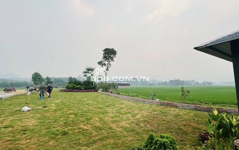  Chỉ hơn 300 TRIỆU sở hữu ngay đất gần trung tâm kinh tế Ba Đồi – Lạc Thủy