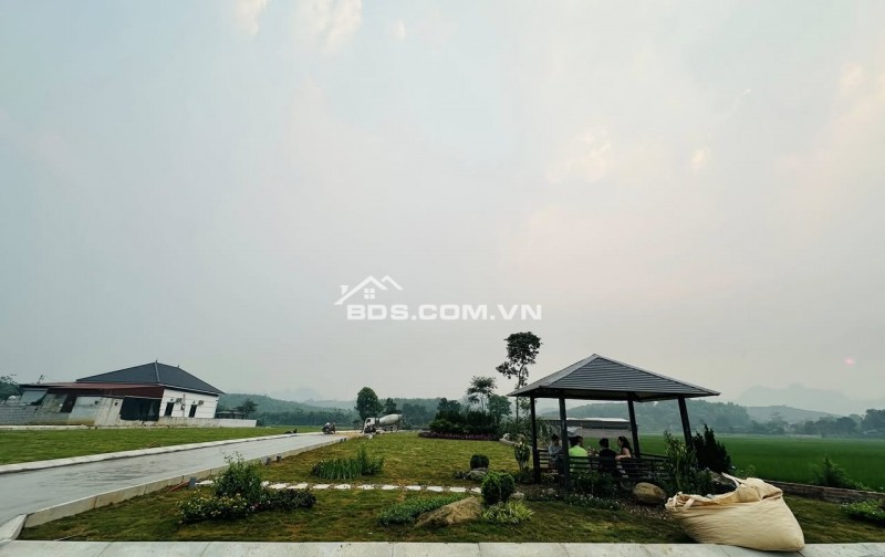  Chỉ hơn 300 TRIỆU sở hữu ngay đất gần trung tâm kinh tế Ba Đồi – Lạc Thủy