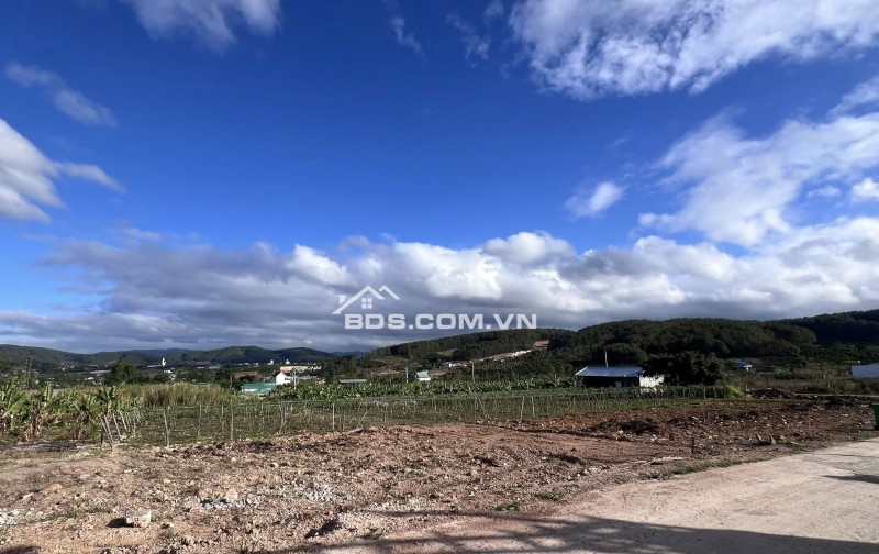 ĐẤT 2 MẶT TIỀN – THUNG LŨNG THÔNG XANH, KHÔNG GIAN SỐNG CHẠM CẢM XÚC