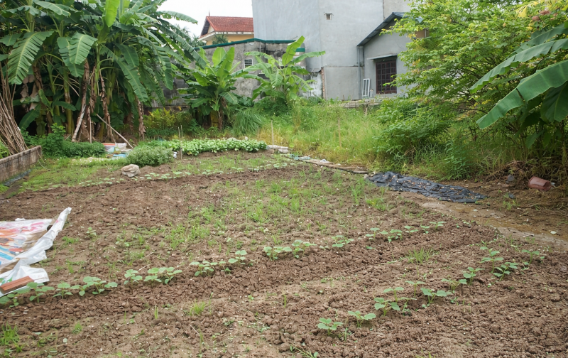  HÀNG HIẾM VIEW HỒ ĐÔNG DƯ – QUỸ ĐẤT LỚN – MẶT TIỀN KHỦNG – BIÊN LỢI NHUẬN CAO 