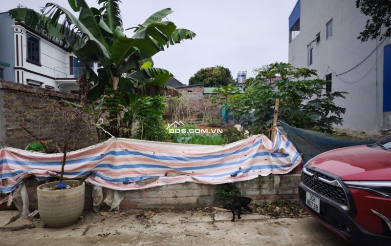 Cực Phẩm hòa lạc 131m2, hàng hiếm tại Thạch Thất, Hà Nội