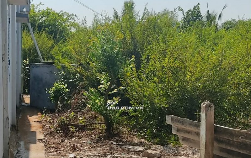 BÁN NHÀ ĐẤT TÂN ĐIỀN GIÁ RẺ