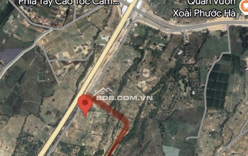 Bán 8,2 ha đất trồng cây lâu năm