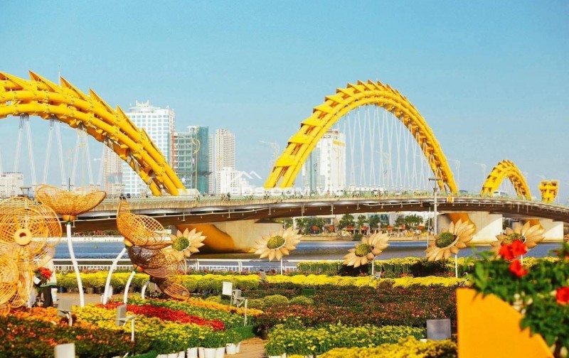 Đất đường Đông Giang, Sơn Trà