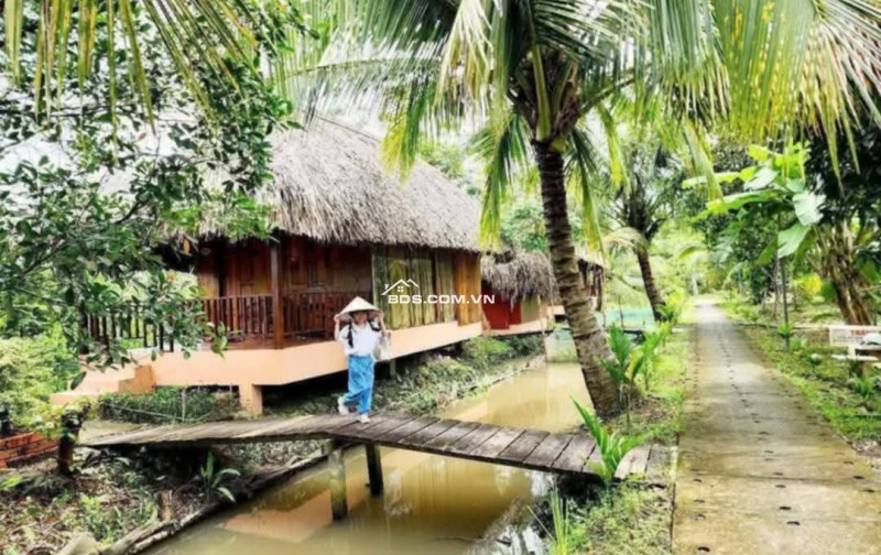 Bán hoặc cho thuê homestay nghĩ dưỡng Cần Thơ