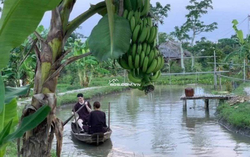 Bán hoặc cho thuê homestay nghĩ dưỡng Cần Thơ