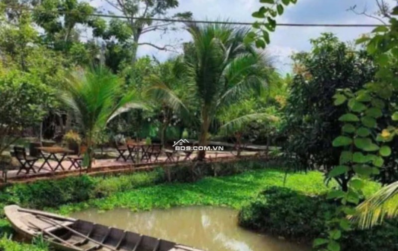 Bán hoặc cho thuê homestay nghĩ dưỡng Cần Thơ