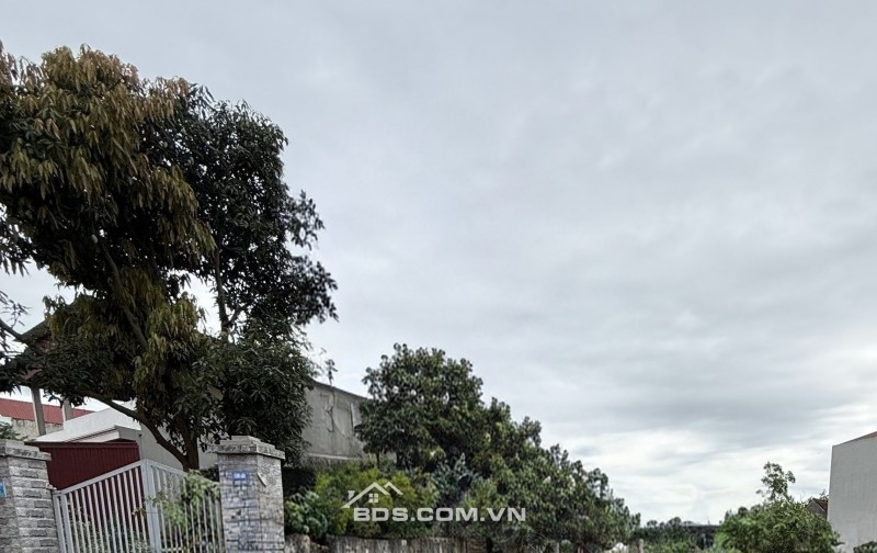 ĐÓN ĐẦU QUY HOẠCH SÂN BAY: 123M2 FULL THỔ CƯ – MẶT TIỀN CỰC ĐẸP, GIÁ ĐẦU TƯ!