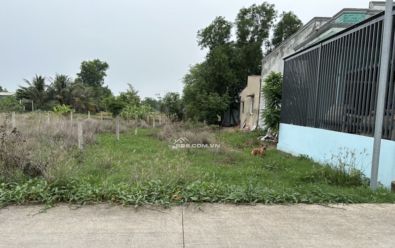 Đất Sát bên Khu CN Cầu Tràm, cách Cho Bình Chánh 3 km , đường xe hơi vào được ,lộ giới 5m, dự phong 18m .full thổ cư