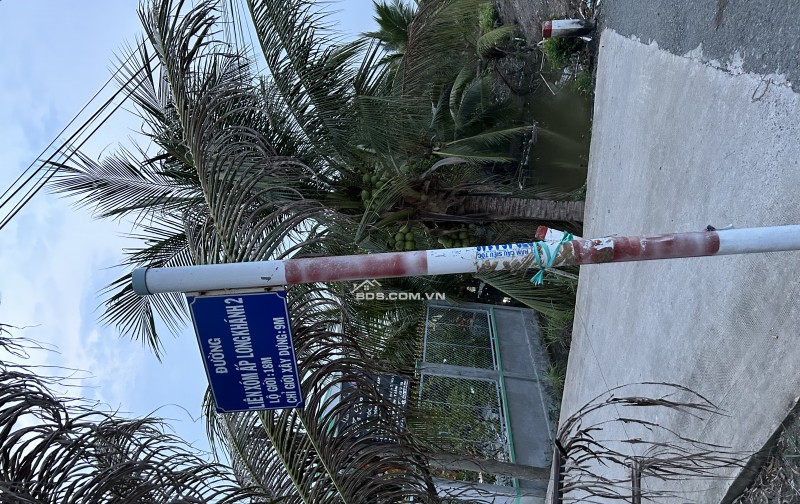 Đất Sát bên Khu CN Cầu Tràm, cách Cho Bình Chánh 3 km , đường xe hơi vào được ,lộ giới 5m, dự phong 18m .full thổ cư