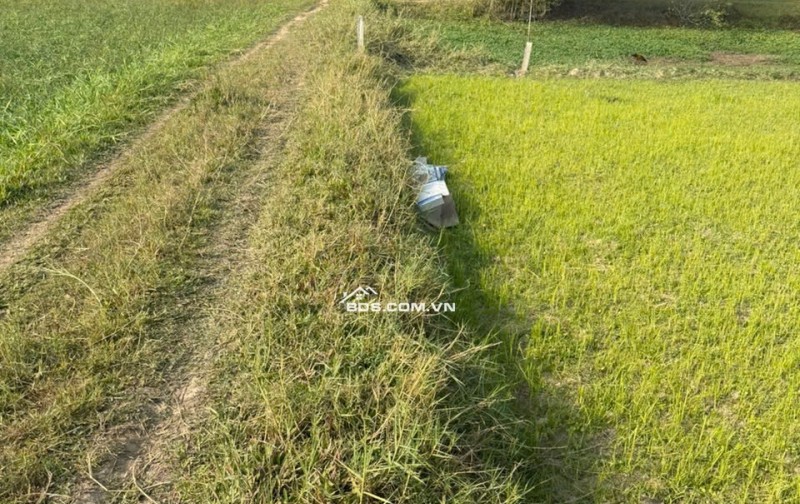 Đất thổ shr Tân Mỹ gần Vingroup Suối Tiên Sân Golf  sát Tỉnh Lô