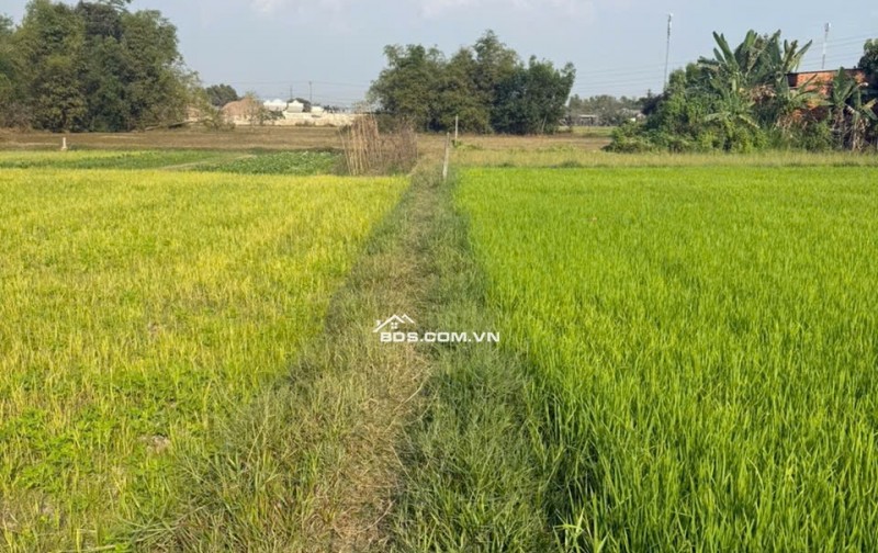 Đất thổ shr Tân Mỹ gần Vingroup Suối Tiên Sân Golf  sát Tỉnh Lô