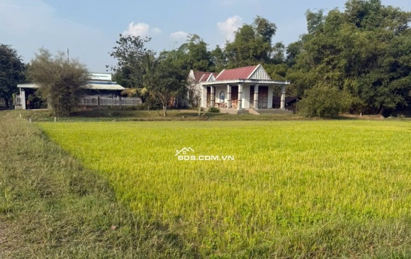 Đất thổ shr Tân Mỹ gần Vingroup Suối Tiên Sân Golf  sát Tỉnh Lô