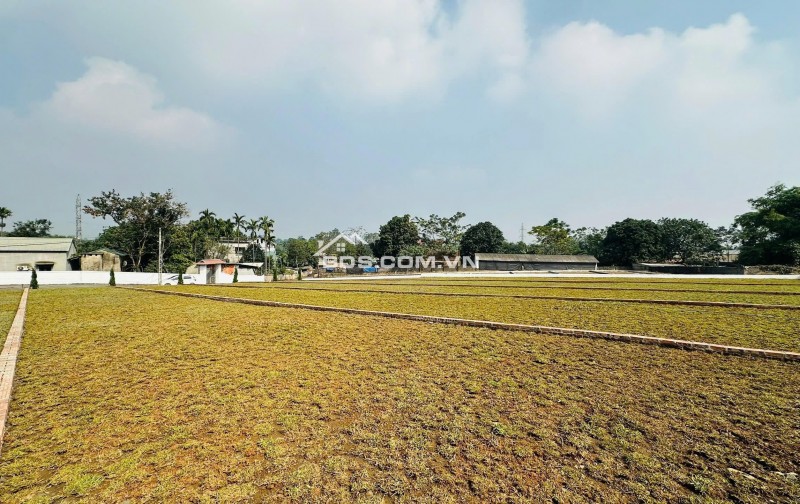 SIÊU HOT: bán đất nền lõi KCN nhuận trạch,trung tâm nghỉ dưỡng cư yên,pháp lĩ rõ ràng,sổ hồng riêng,đường bê tông rộng ô tô tránh nhau thoải mái