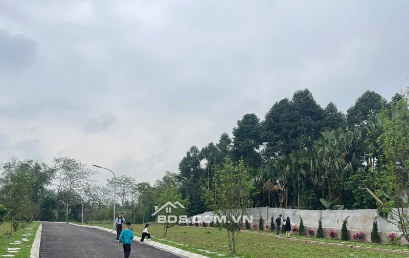 Chỉ từ 360 tr quý anh chị và nhà đầu tư sở hũu lô đất vàng kim bôi. Hòa bình