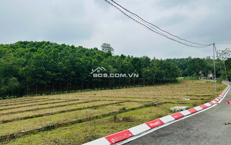 Sở hữu lô đất giá rẻ tại an Bình Lạc Thủy Hòa Bình chỉ với 225 triệu