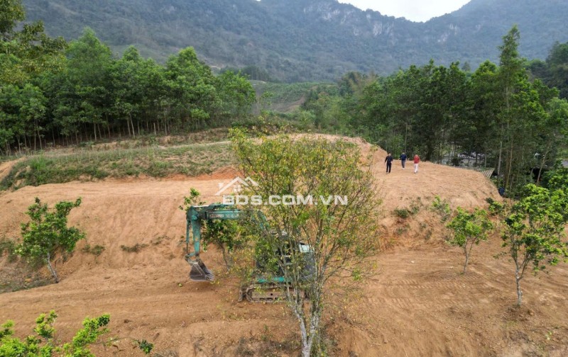 Siêu lô đất đẹp hiếm 2000m có 1000m2 thổ cư tại kim bôi hào bình cho quý anh chị đầu tư