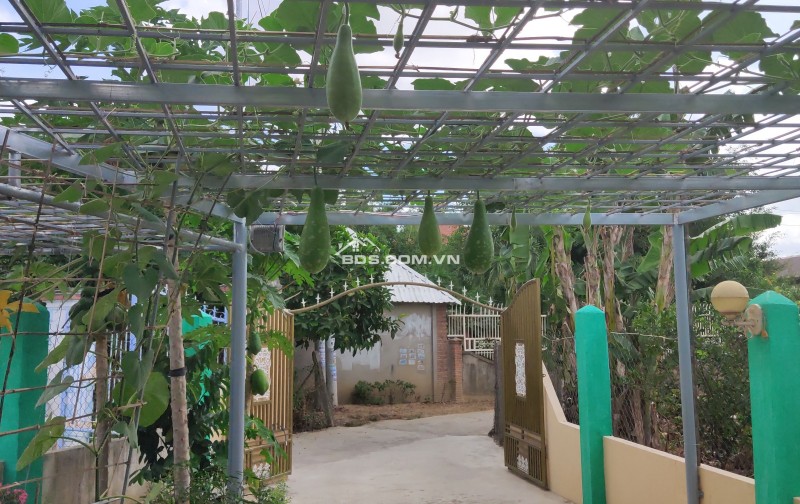 Bán nhà vườn nghỉ dưỡng 150m2 Diên Lạc - Cách Tỉnh lộ 2 chỉ 2 phút - Sổ hồng chính chủ