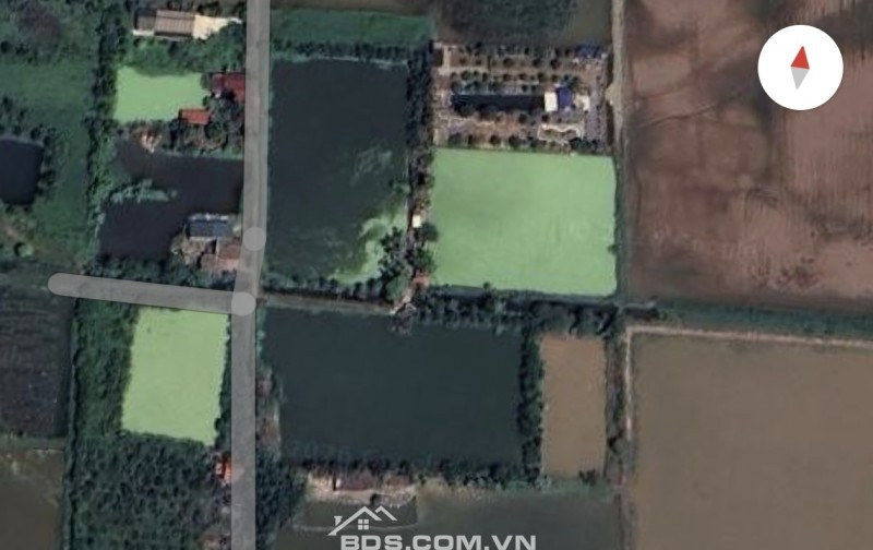 Gia đình bán 522 m² đất ruộng. Xã Dũng Tiến, Thường Tín, Hà Nội (Xã Thượng Phúc)