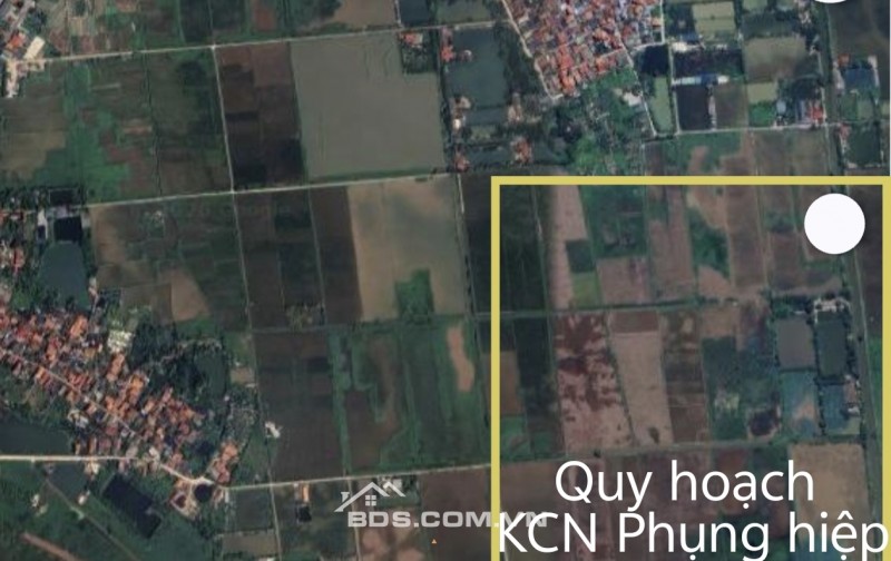 Gia đình bán 522 m² đất ruộng. Xã Dũng Tiến, Thường Tín, Hà Nội (Xã Thượng Phúc)