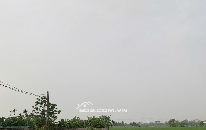 Gia đình bán 522 m² đất ruộng. Xã Dũng Tiến, Thường Tín, Hà Nội (Xã Thượng Phúc)