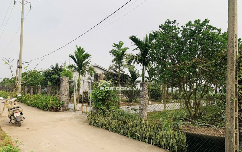 Gia đình bán 522 m² đất ruộng. Xã Dũng Tiến, Thường Tín, Hà Nội (Xã Thượng Phúc)