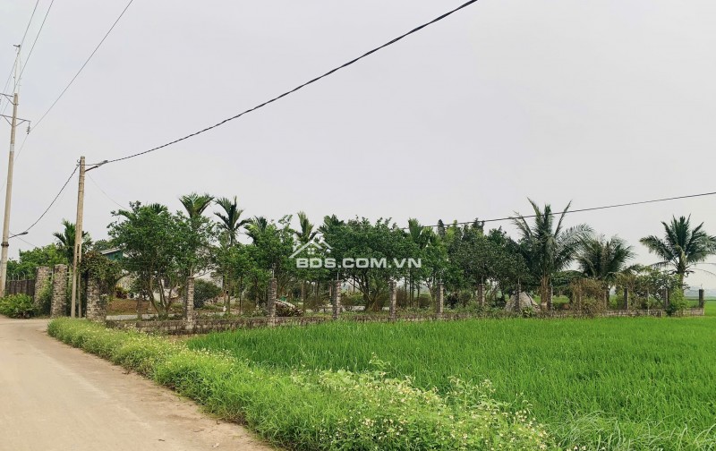 Gia đình bán 522 m² đất ruộng. Xã Dũng Tiến, Thường Tín, Hà Nội (Xã Thượng Phúc)