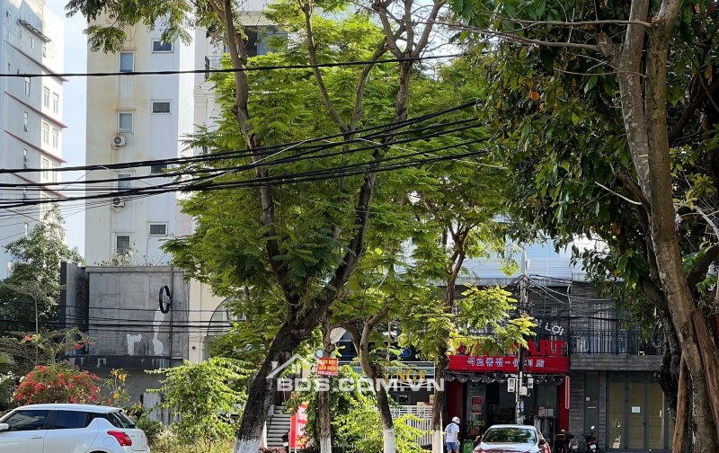  BÁN ĐẤT ĐẸP TRẦN ĐỨC THÔNG