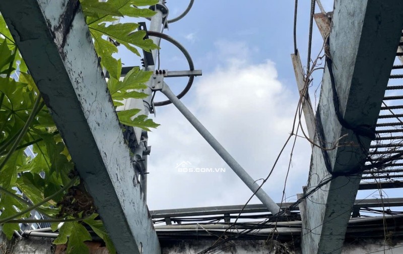 HOMESTAY QUẬN 1 – NGUYỄN TRÃI –4,6×13M- 7 TẦNG – 30 TỶ 