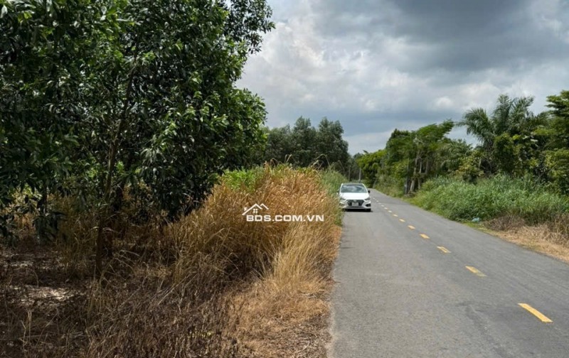 Bán đất xưởng Giang Điền, Trảng Bom, Đồng Nai