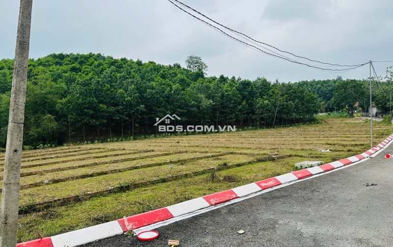 Giá chỉ từ 245tr sở hữu ngay lô đất nền giá tốt tại trung tâm Xã An Bình