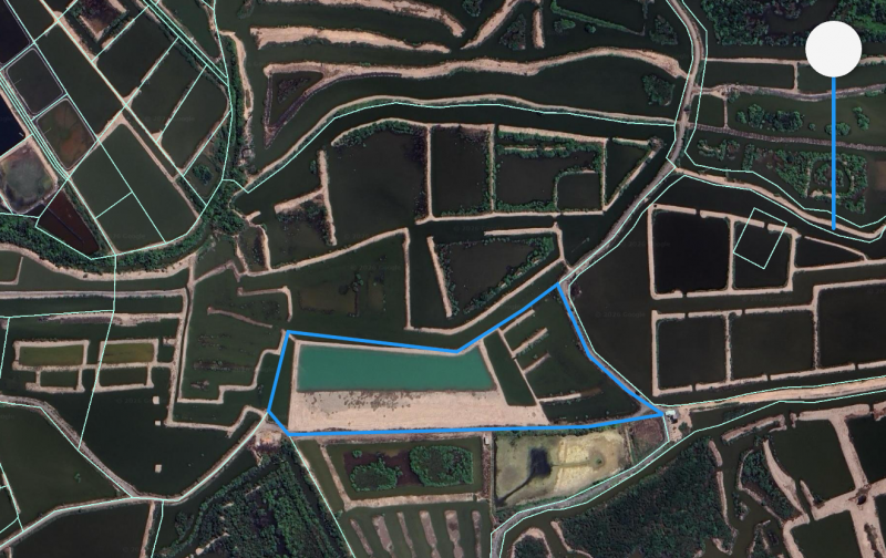 Nhượng lại duy nhất một sổ giá 1.330tr/m2 đất Đê Gốc Tre Lý Nhơn