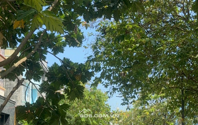 ĐẤT NỀN KDC AN PHÚ TÂY - 100M² THỔ CƯ -  CẮT LỖ SÂU GIÁ 2.8 TỶ