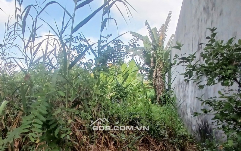 Bán nền ĐS4 Khu dân cư Tân Phú Thạnh