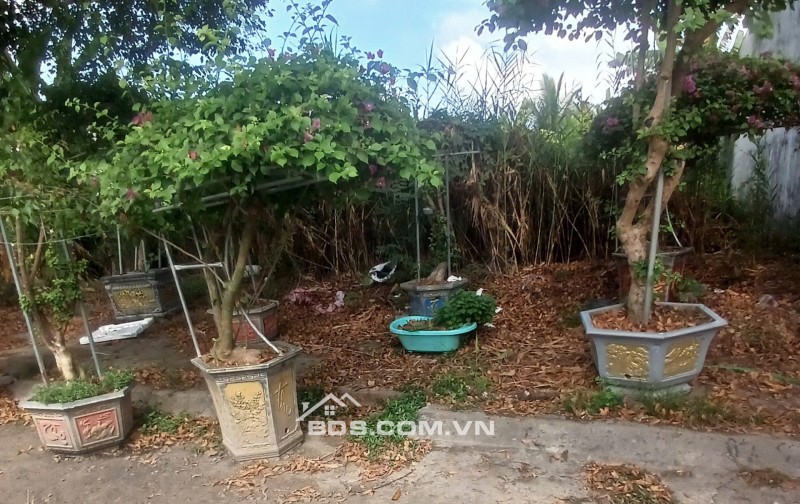 Bán nền ĐS4 Khu dân cư Tân Phú Thạnh