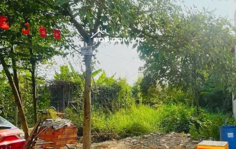 GIÁ TỐT HIẾM! ĐẤT LONG TRƯỜNG 74M² – 4.1 TỶ