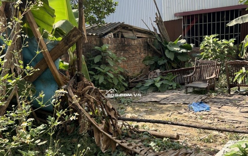 Chính chủ bán 110,7m2 đất gần chân cầu Phùng, Hiệp Thuận, Phúc Thọ, Hà Nội, phù hợp đầu tư