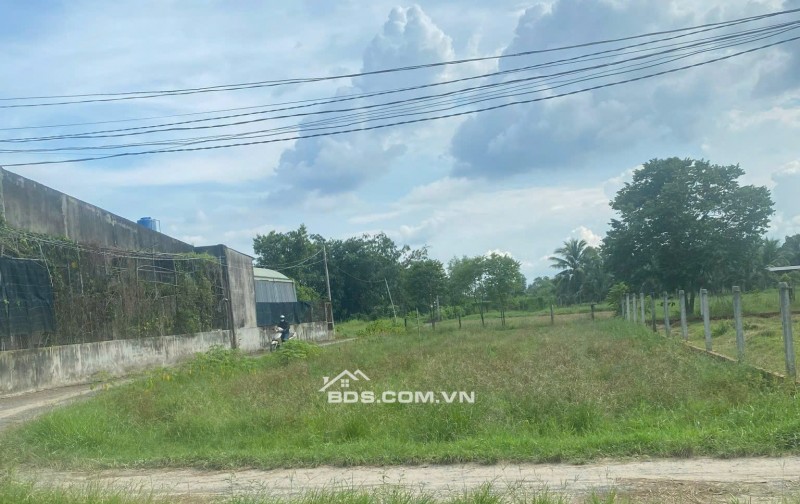 Chính chủ bán gấp 360m2 đất thổ cư 100% Đức Hòa giá 1,55 tỷ có phí hh cho môi giới