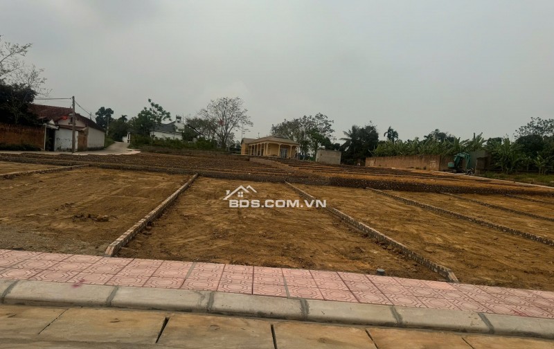 Bán Đất Thôn Cổng Sau, Hướng Đạo, khu công nghiệp Tam Dương 1, Vĩnh Phúc 100m, 800 triệu, xây nhà trọ, nhà ở.