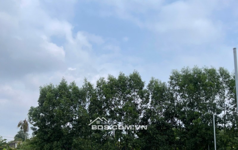 ĐẤT GIANG ĐIỀN – GIÁ CHẠM ĐÁY, SỔ RIÊNG TỪNG NỀN