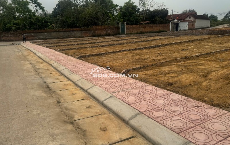 Bán Đất Thôn Cổng Sau, Hướng Đạo, khu công nghiệp Tam Dương 1, Vĩnh Phúc 100m, 800 triệu, xây nhà trọ, nhà ở.