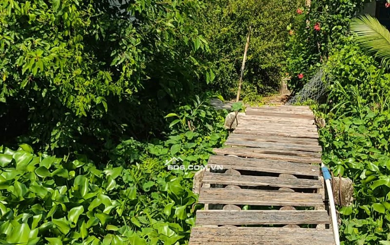 BÁN NHÀ ĐẤT TÂN ĐIỀN GIÁ RẺ