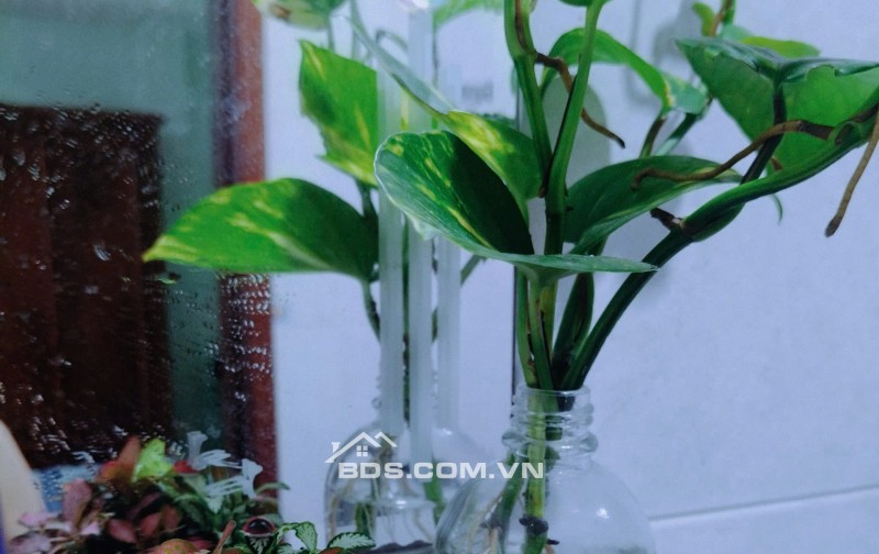 Cho thuê phòng - Đầy đủ nội thất, tiện nghi - Chủ nhà thân thiện, hiếu khách