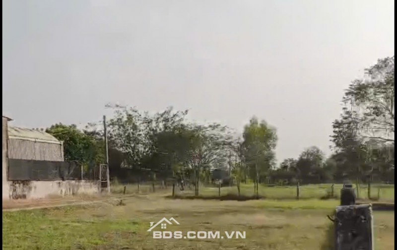 Chính chủ bán gấp 360m2 đất thổ cư 100% Đức Hòa giá 1,55 tỷ có phí hh cho môi giới